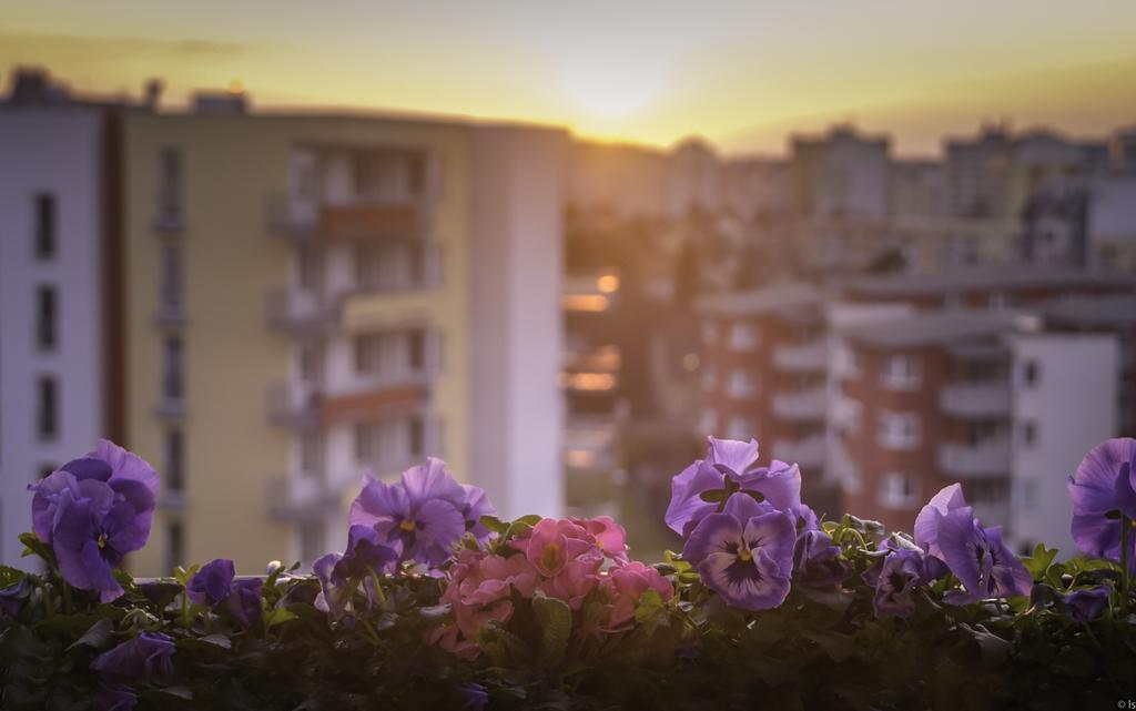A Nice Place To Stay Apartments براغ الغرفة الصورة